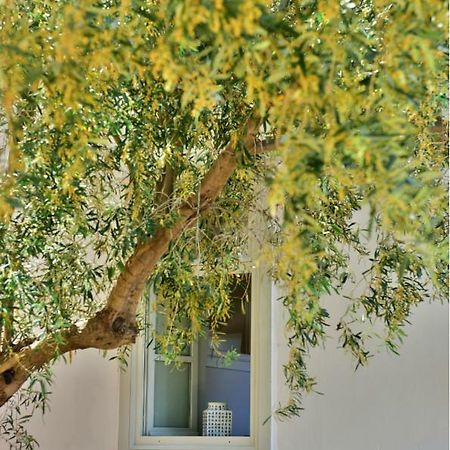 Douskos Beach House Apartment Hydra  Bagian luar foto