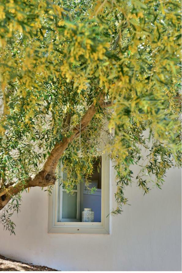 Douskos Beach House Apartment Hydra  Bagian luar foto