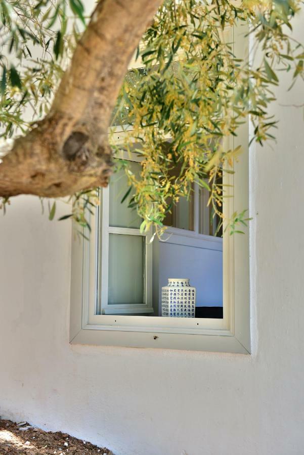 Douskos Beach House Apartment Hydra  Bagian luar foto